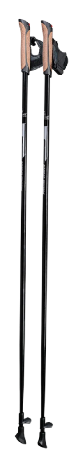 Gastrock Gehstock Nordic Walking Carbon