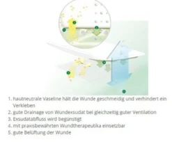 L+R Lomatuell H Salbentüll hydrophob