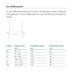 Rückenbandage ofa Dynamics LWS Bandage