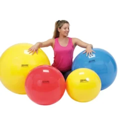 Russka Gymnastikball Gymnic Classic